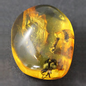 Янтарь. Драгоценный камень